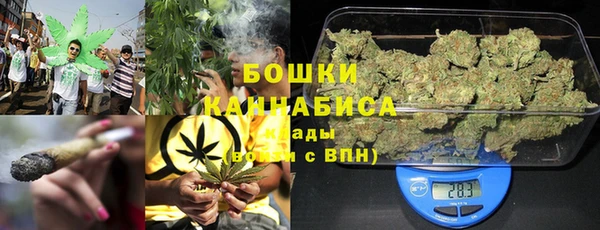 PSILOCYBIN Аркадак