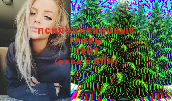 стафф Баксан